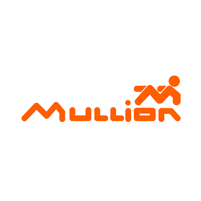 Mullion